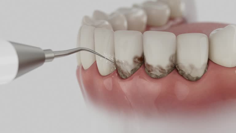 Reliable Dental contractor in LaSalle, IL by Dentist Open Now